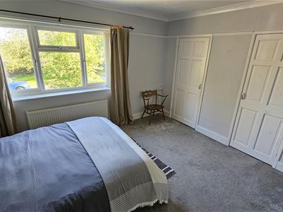 Picture 24